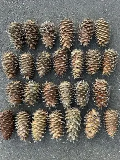 Item thumbnail for item 0862b6bf-5448-424c-b7d5-a5e35f966ee9