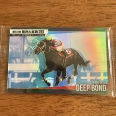 ディープボンド 阪神大賞典 競馬 カード コレクション