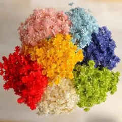 りんりん様 リクエスト 2点 まとめ商品