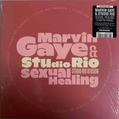 Marvin Gaye & Studio Rio 7inch レコード 新品