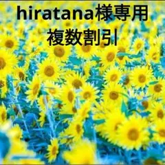 hiratana様専用【4袋】ツルヤ りんごかりんとう信州産りんごピューレ使用