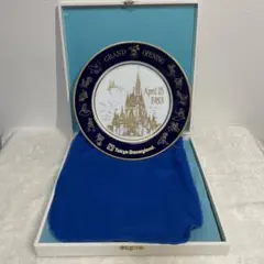 東京ディズニーランド限定 ドナルドダック 65周年 バースデー記念プレート 希少 東京ディズニーランド限定 ドナルドダック 65周年 バースデー記念