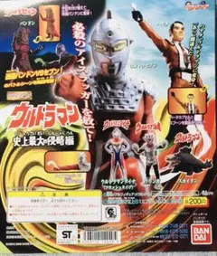 TM様 リクエスト 4点 まとめ商品