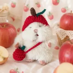 専用 ジェリーキャット Plum Robin コマドリ 小鳥 ぬいぐるみ 新品