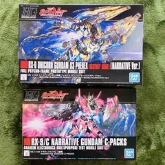 HG フェネクスNT版＋ナラティブC装備 2点セット