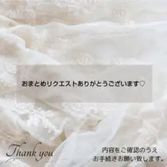 あや ◡̈プロフ必読 発送ゆっくりめ様 リクエスト 2点 まとめ商品