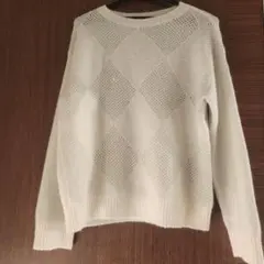 ✨未使用✨ ダーマコレクション 近年モデル 大きいサイズ 3L ラメニット ✨未使用✨ ダーマコレクション 近年モデル 大きいサイズ 3L