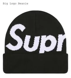 2026年最新】supreme シュプリーム ビッグロゴビーニーの人気アイテム