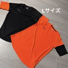 PUMA プーマ プラクティスシャツ 2枚セット サッカー フットサル