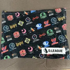 D.LEAGUE ブランケット
