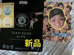 2025.セ・優勝記念阪神タイガース森下クリアファイル 梅野ワイヤーキーホルダー