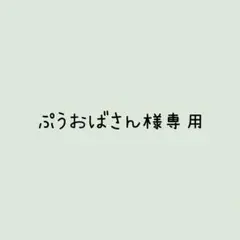 ぷうおばさん様 リクエスト 2点 まとめ商品