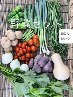 朝採り 野菜セット 80サイズ 新鮮野菜のサムネイル