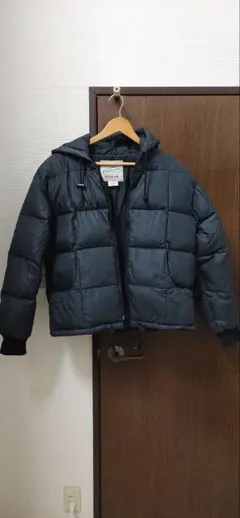 Item thumbnail for item 680153a2-1119-474d-a380-fb839cfb519a