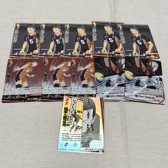 ハイキュー バボカ 田中龍之介 11枚セット