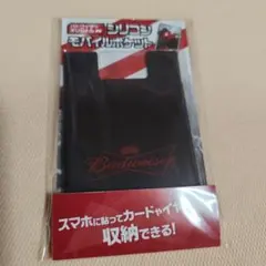 Item thumbnail for item ce690961-8486-40e4-adf3-794c1e94c8cd