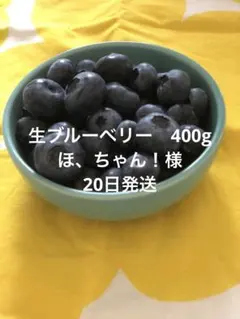 ブルーベリー　400グラム 20日発送