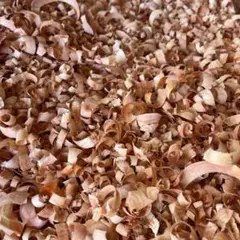 Item thumbnail for item 5fed4bdd-ad7e-46db-a92c-dbe13cc30e0c