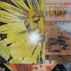 Robert Pollard/ Not in My Airforce 輸入盤CDのサムネイル