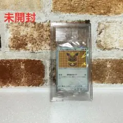 ポンチョを着たイーブイ ブラッキー 未開封 a4c3661c-1490-4e35-a093-