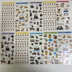 Item thumbnail for item c9b6d62c-0a8d-44dc-8895-3331814c78f3