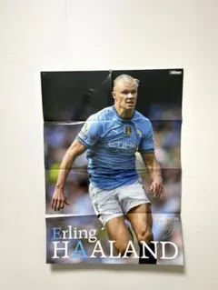 Item thumbnail for item 732ced6e-cc39-400b-b83a-6d524b85c95c