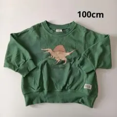 男の子100cm長袖トレーナートップス恐竜スピノサウルスみどりグリーン