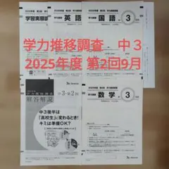 中3　2025年度 第2回 学力推移調査 ベネッセのサムネイル