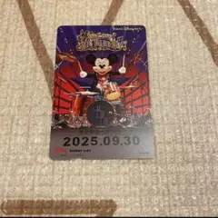 匿名配送　BBB ビッグバンドビート 最終日 フリーきっぷ 実写