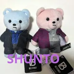 SHUNTO クマぬいぐるみ 2体セット