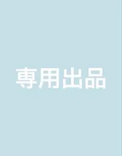 専用出品　ald1 アルバム　2冊