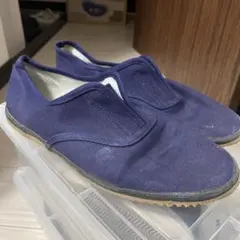 Item thumbnail for item f8de0a0b-2af8-4986-9ac1-380cdba8d1c1