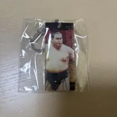 大相撲　ガチャ　横綱豊昇龍　スティックキーホルダー