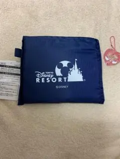 東京ディズニーリゾート　ショップ袋風エコバッグ　ショッピングバッグ