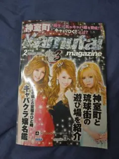 Kaminari Magazine & 矢沢永吉 Loser告知セット