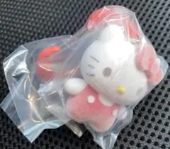 サンリオキャラクターズ カラフル　カラビナ　マスコットチャーム ハローキティ