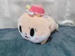 ちぃたん⭐︎ ぬいぐるみ 寝ころび　BIG コツメカワウソ　秋葉原　ユーチューバー