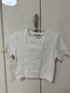 ZARA クロップド丈 半袖Tシャツ ホワイト