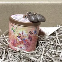 ディズニー ランド 40周年記念 カプセルトイ チョコクランチ　キーホルダー