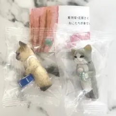 ねこの音楽会 花房さくら シャム 小太鼓 すず ハチワレ 2個セット ガチャ