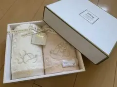Disney プレミアムコレクション タオルセット