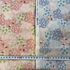 Item thumbnail for item d5abc682-3375-48f2-97d6-5a611781d49a