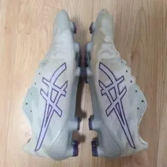asics ds light 25