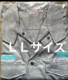 Item thumbnail for item bc193f6f-a18f-4f33-a9e6-dba8ccfc01e1