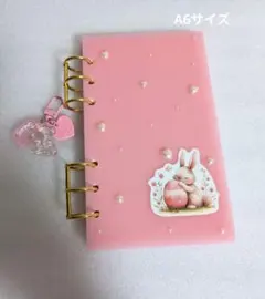 アクリルバインダー 韓国 savingセービング 貯金 ・チェリー〈ピンク