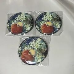 あんスタ 中国 星之所向 缶バッジ 天城一彩