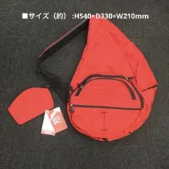 【未使用】HEALTHY BACK BAG ヘルシーバックバッグ ビッグバッグのサムネイル