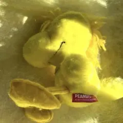 Item thumbnail for item b270c9ce-7a32-4374-a407-5a7955d1bb2a