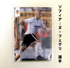 バレンシアCF ソフィアーヌ・フェグリ パニーニフットボールリーグ2013