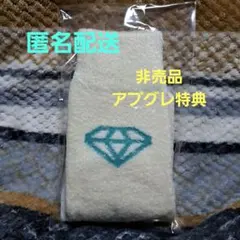 SHINee 東京ドーム アプグレ特典 靴下